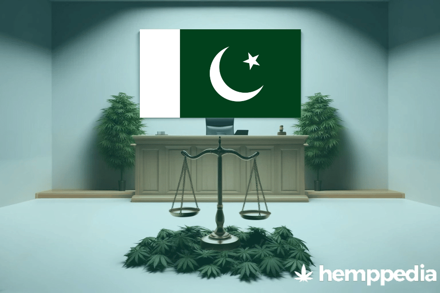 Is Cannabis legal in Pakistan? – Update 2024