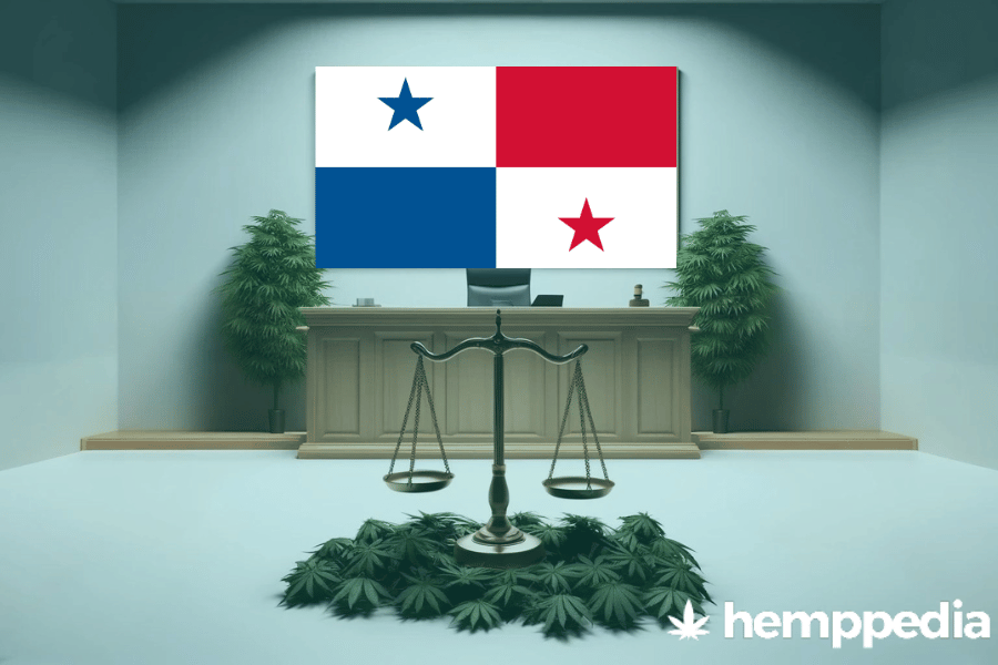 Is CBD legal in Panama? – Update 2024