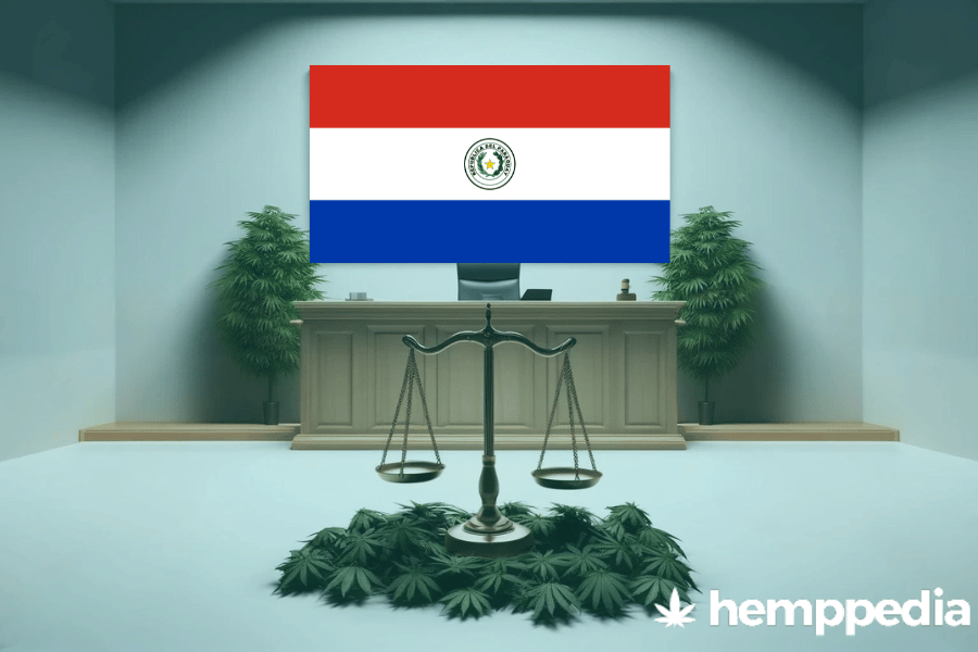 Is Cannabis legal in Paraguay? – Update 2024