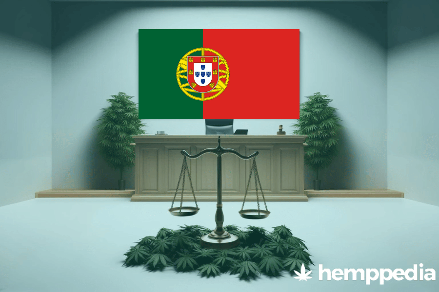 Is CBD legal in Portugal? – Update 2024