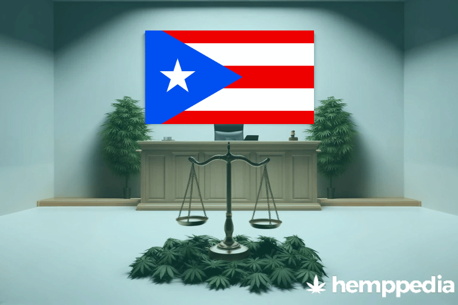 Is Cannabis legal in Puerto Rico? – Update 2024