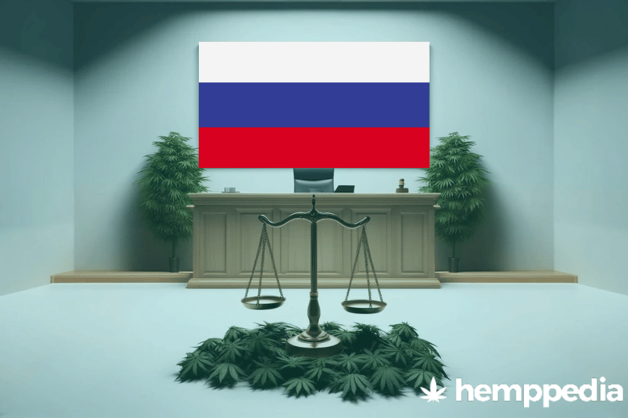 Is Cannabis legal in Russia? – Update 2024