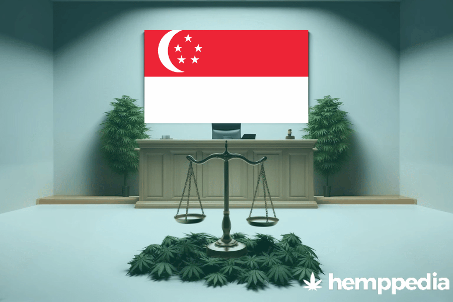 Is CBD legal in Singapore? – Update 2024