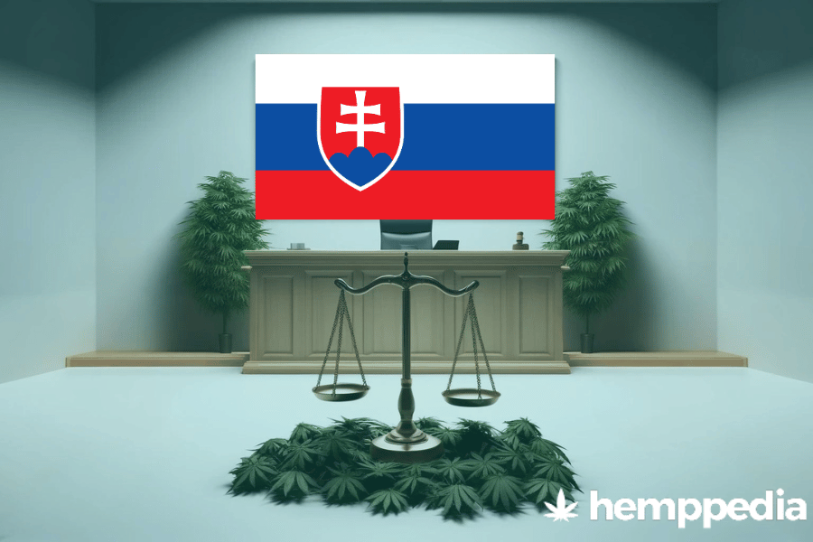 Is CBD legal in Slovakia? – Update 2024