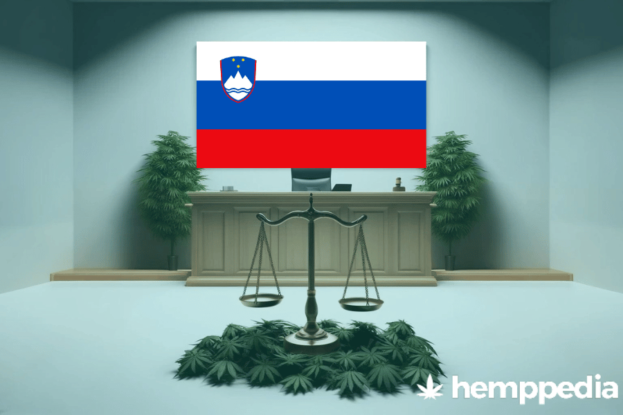 Is Cannabis legal in Slovenia? – Update 2024