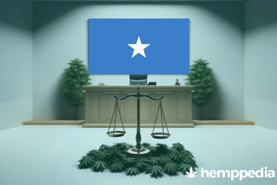 Is CBD legal in Somalia? – Update 2024