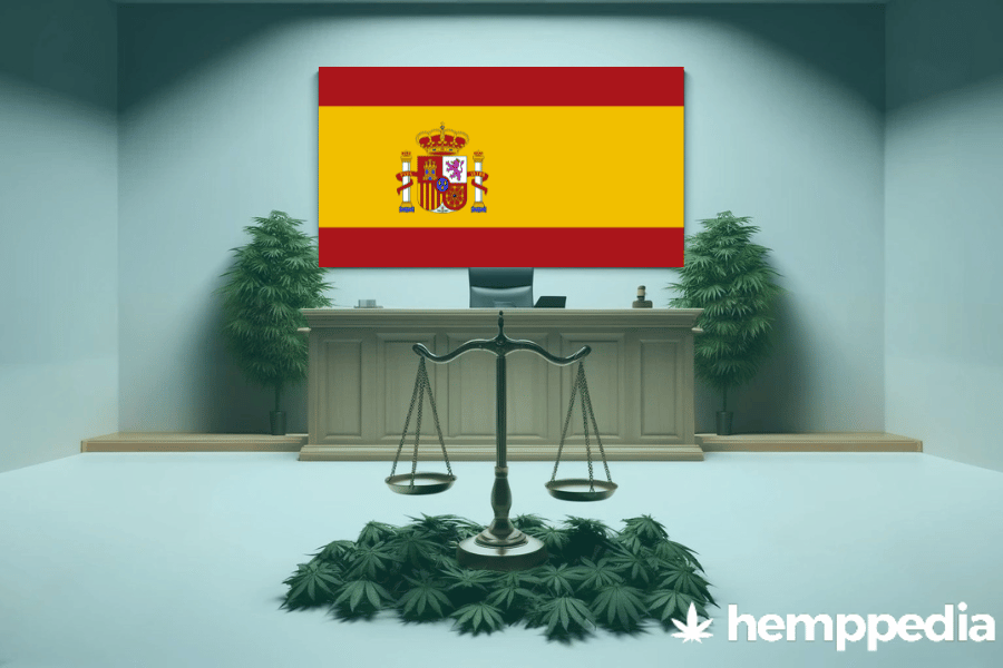 Is CBD legal in Spain? – Update 2024