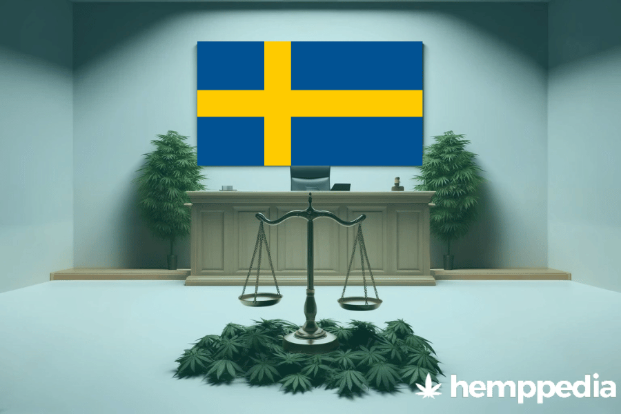 Is Cannabis legal in Sweden? – Update 2024