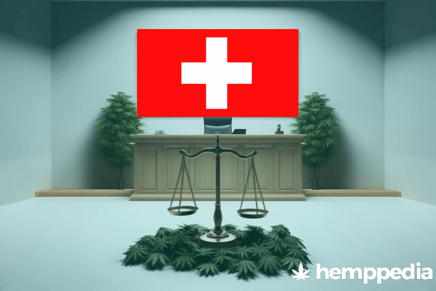 Is Cannabis legal in Switzerland? – Update 2024