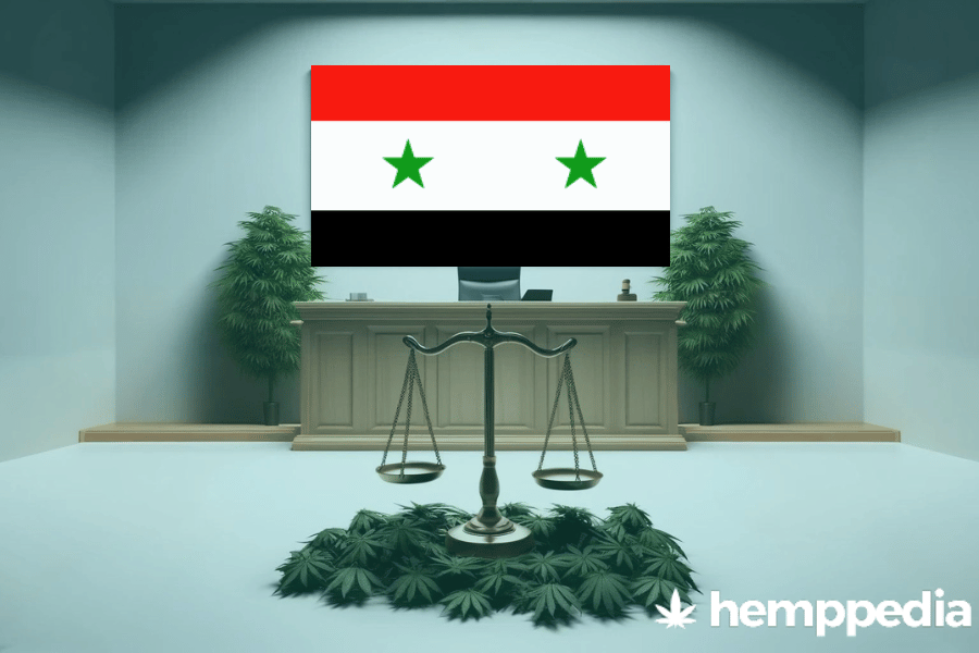 Is CBD legal in Syria? – Update 2024