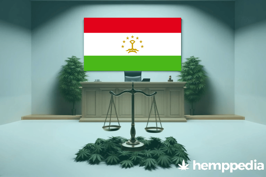 Is CBD legal in Tajikistan? – Update 2024