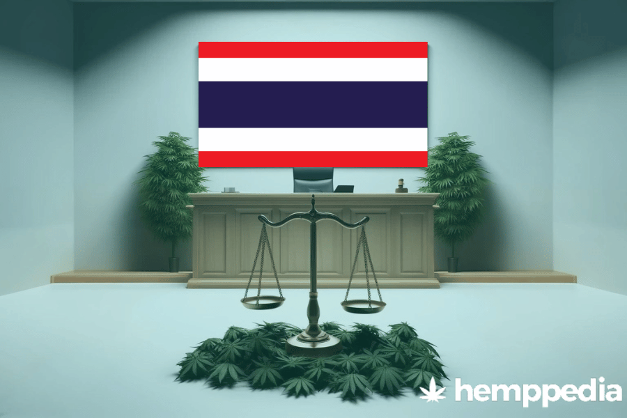 Is CBD legal in Thailand? – Update 2024