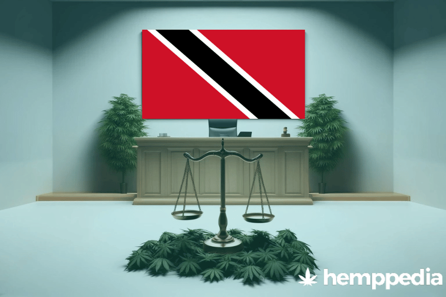 Is CBD legal in Trinidad and Tobago? – Update 2024