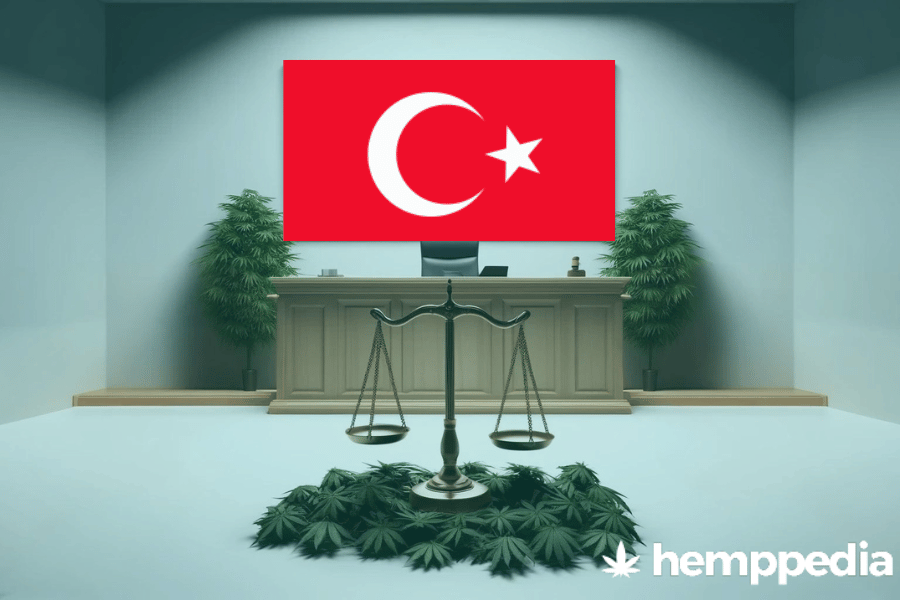 Is CBD legal in Turkey? – Update 2024