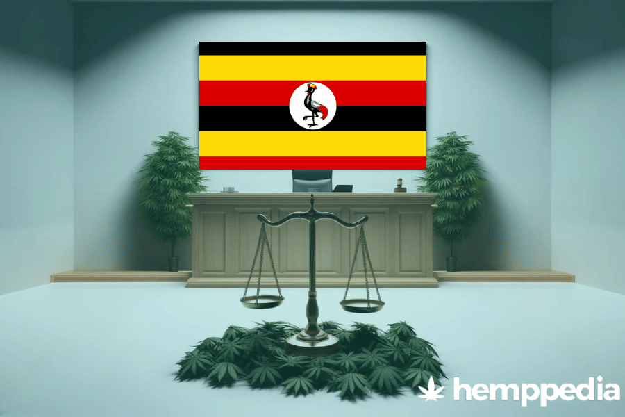 Is CBD legal in Uganda? – Update 2024