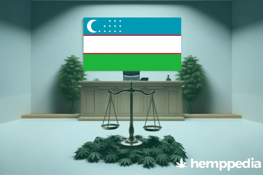 Is Cannabis legal in Uzbekistan? – Update 2024