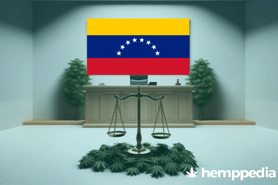 Is Cannabis legal in Venezuela? – Update 2024