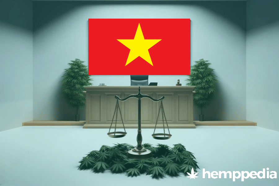 Is Cannabis legal in Vietnam? – Update 2024