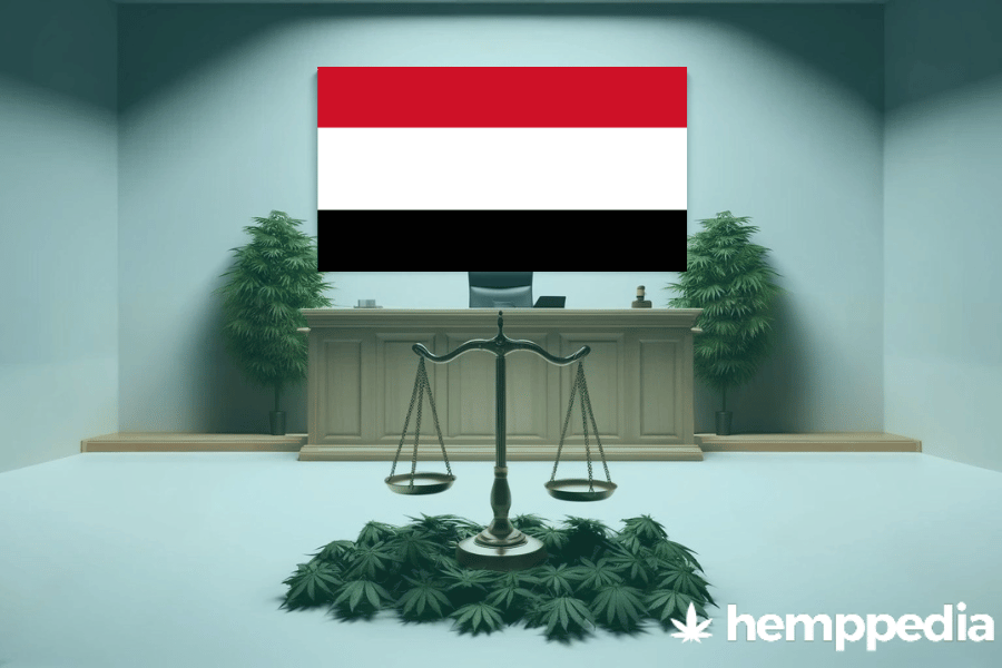 Is Cannabis legal in Yemen? – Update 2024
