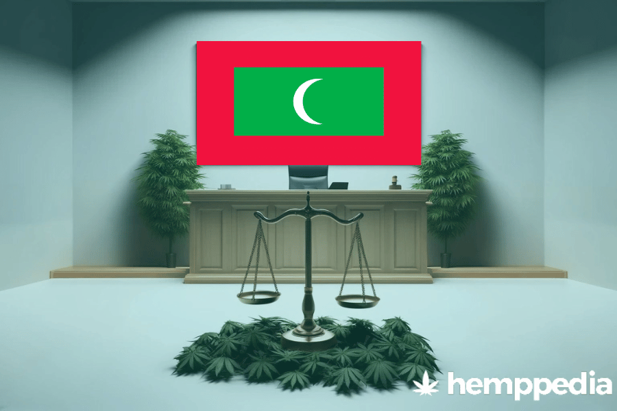 Is CBD legal in the Maldives? – Update 2024