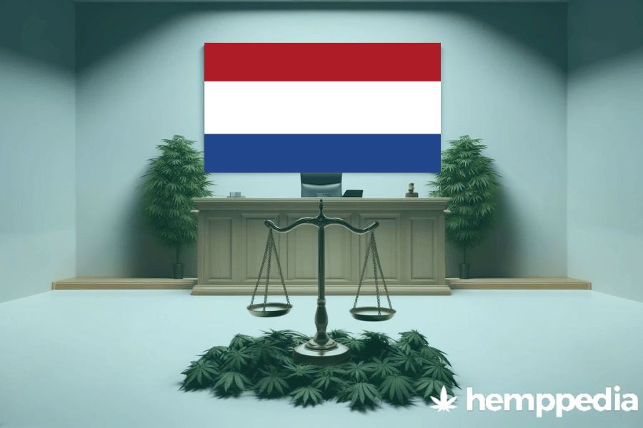 Is Cannabis legal in the Netherlands? – Update 2024